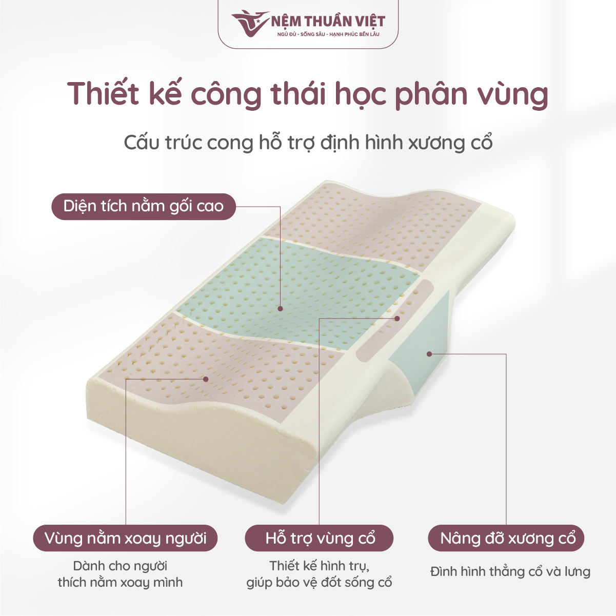GỐI CAO SU CÔNG THÁI HỌC-03