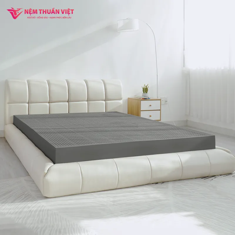 cao-su-titan-grey-5