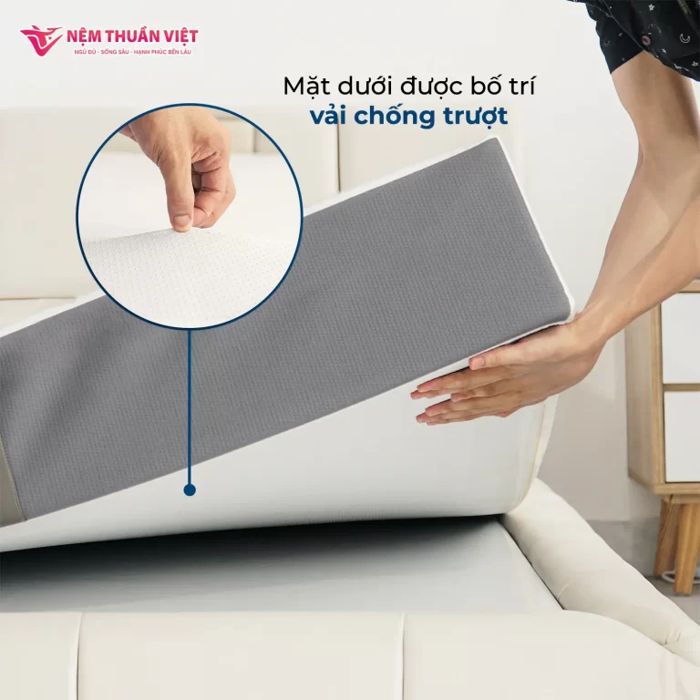 Nệm cao su hoạt tính president - mô tả web 2