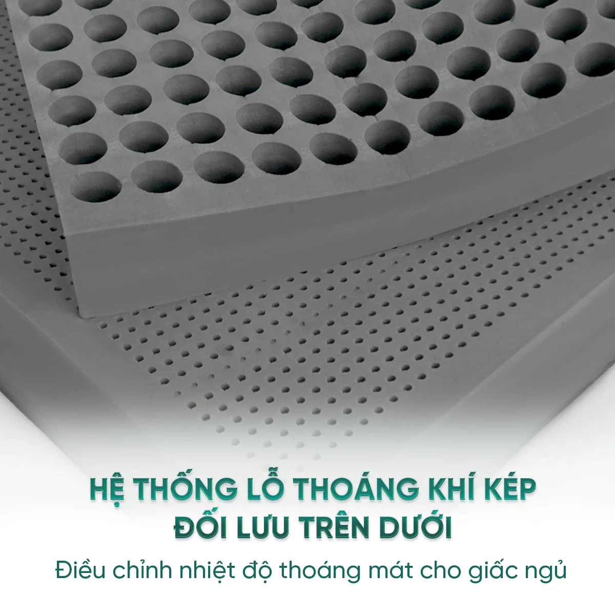 2 mặt lỗ