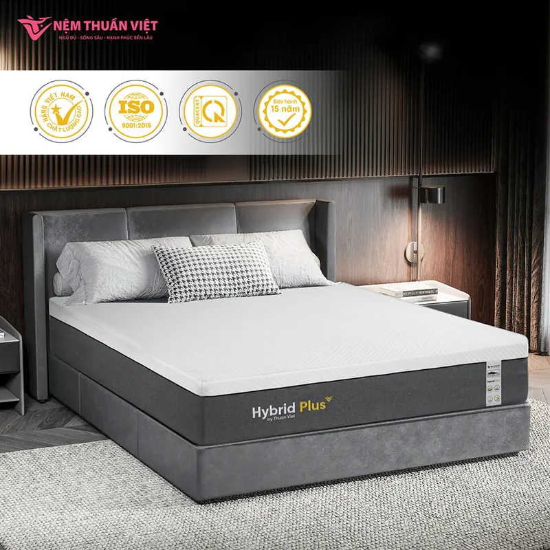 hybrid_plus_05_800x800