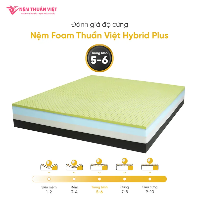 hybrid_plus_06_800x800