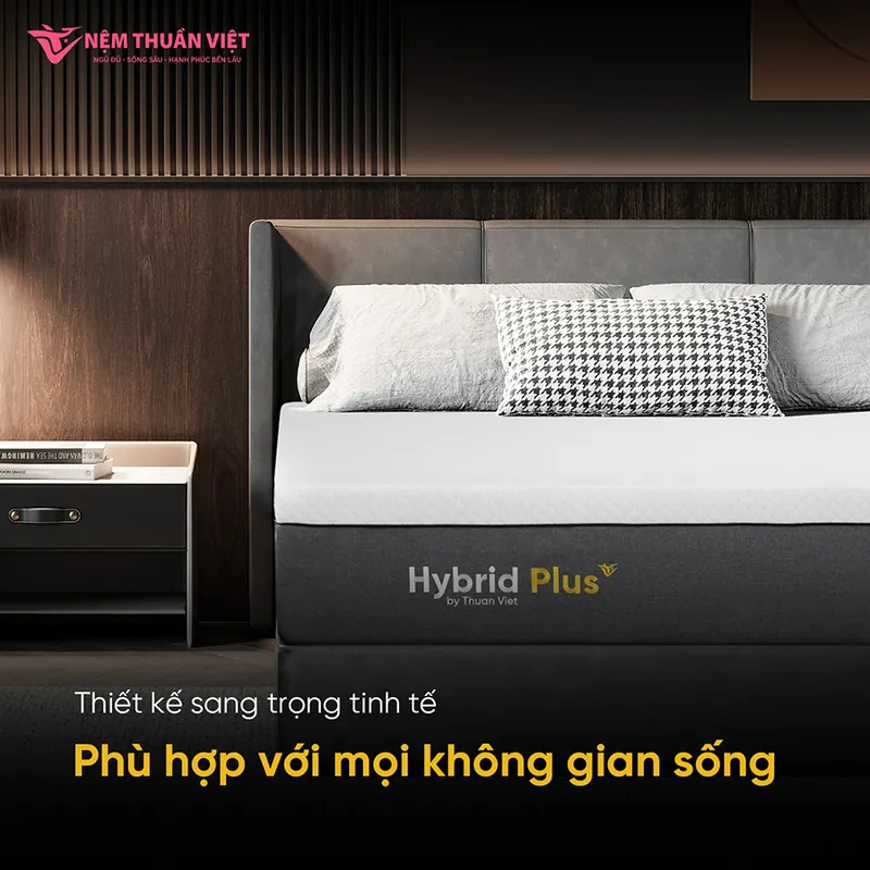 hybrid_plus_07_800x800