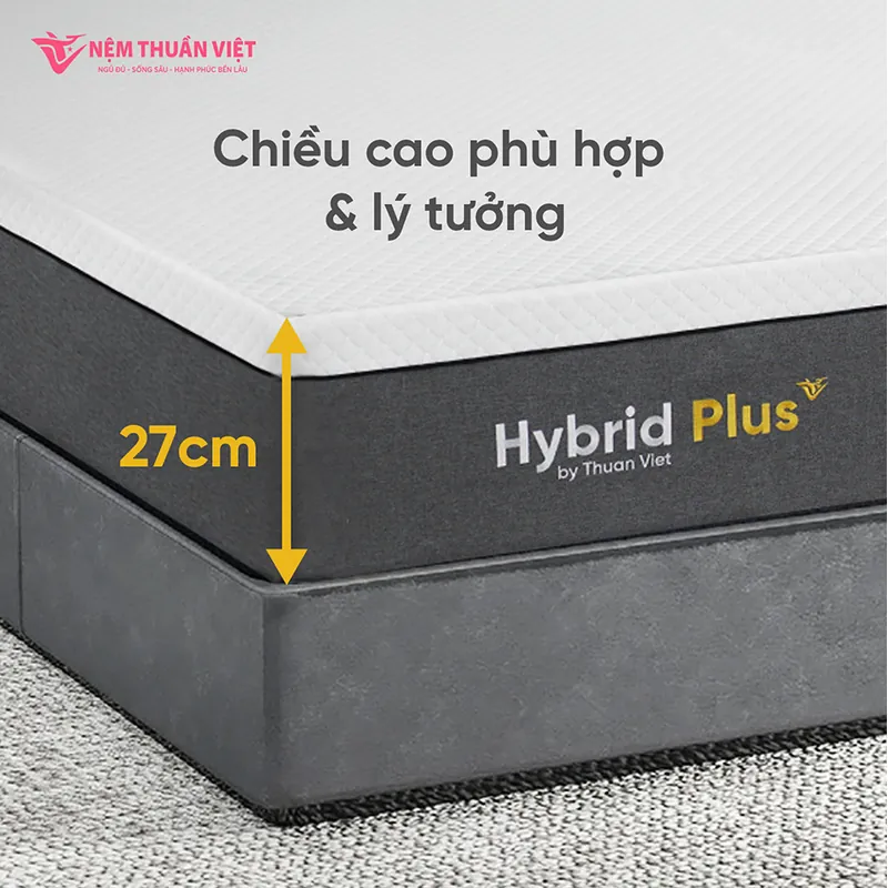 hybrid_plus_08_800x800