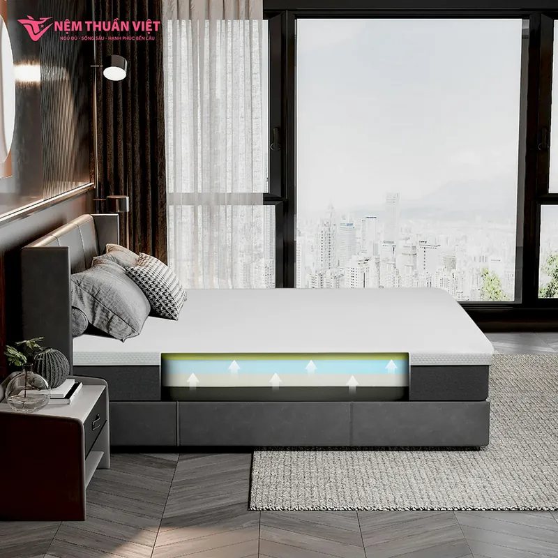hybrid_plus_artboard_1_800x800