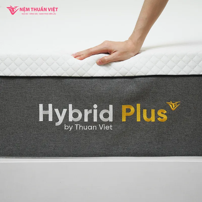 hybrid_plus_artboard_3_800x800