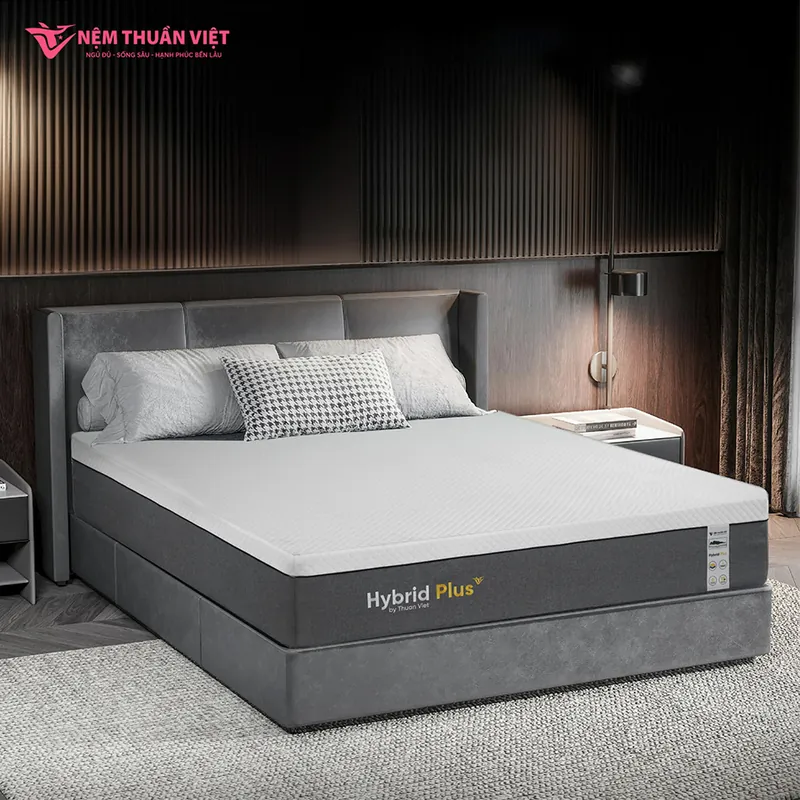 hybrid_plus_artboard_4_800x800 (1)