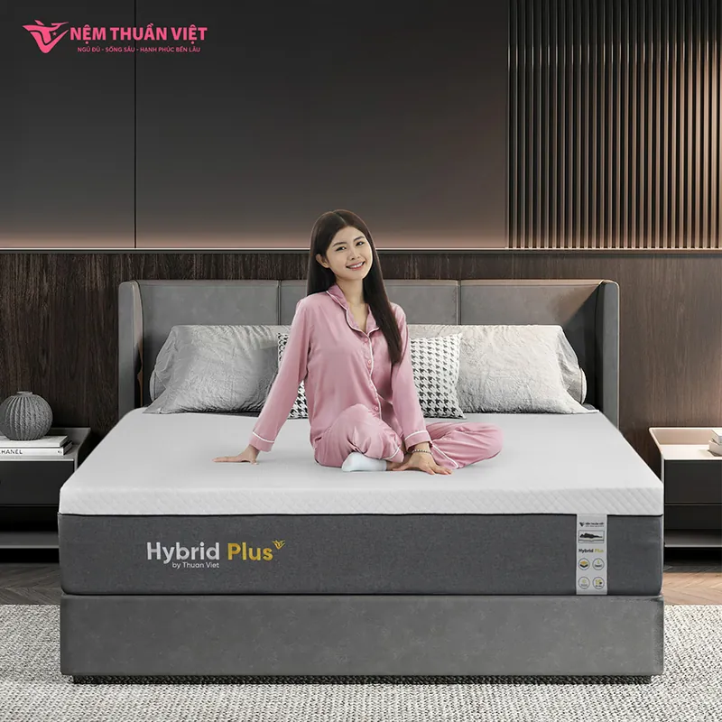 hybrid_plus_artboard_4_800x800