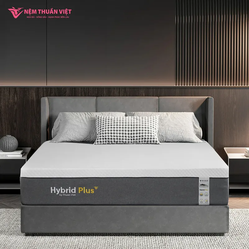 hybrid_plus_artboard_6_800x800 (1)
