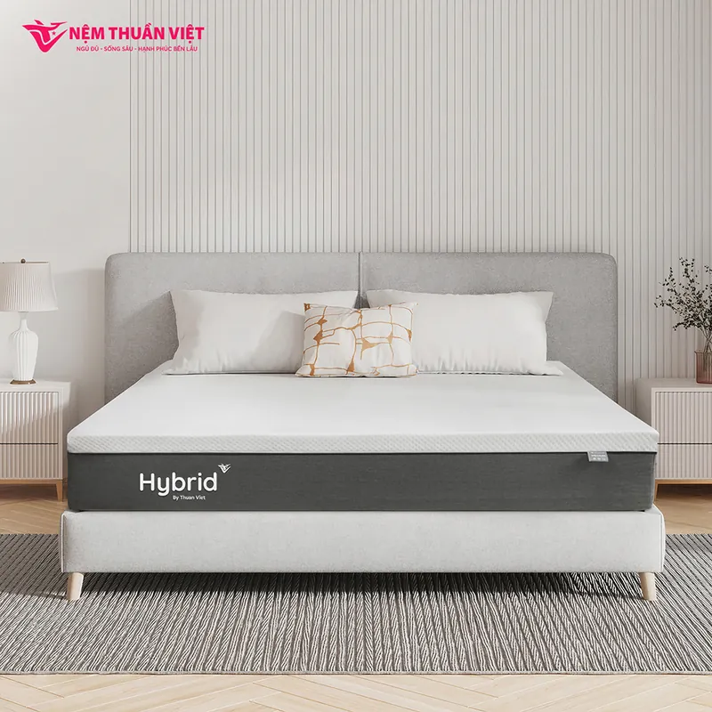hybrid_01_800x800