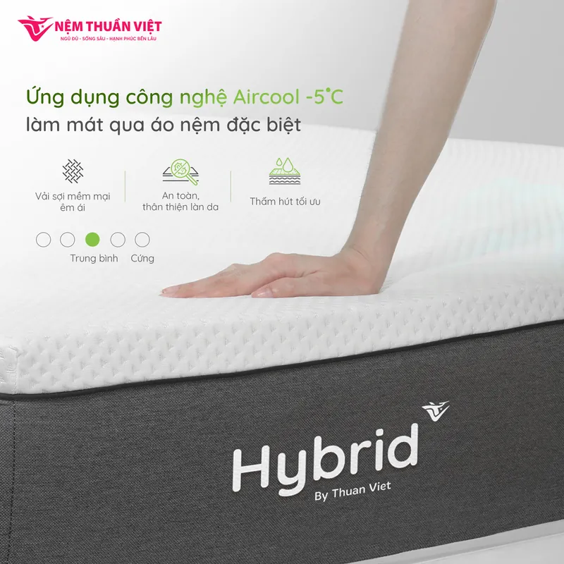 hybrid_hình_02_800x800