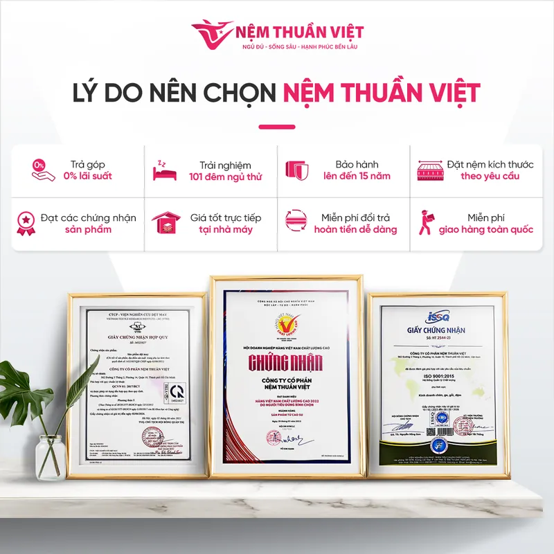 ly-do-chon-nem-thuan-viet_800x800