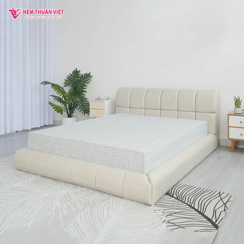 premium_3_800x800