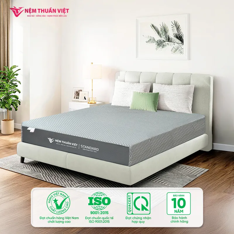 info-standard-5_standard_800