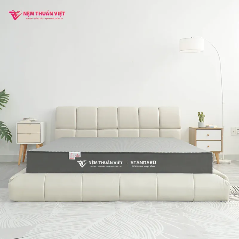 nnem-foam-hoạt-tính-thuần-việt-standard-3_standard_800