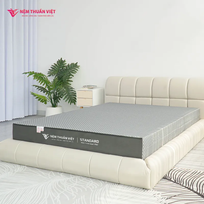 nnem-foam-hoạt-tính-thuần-việt-standard-7_standard_800
