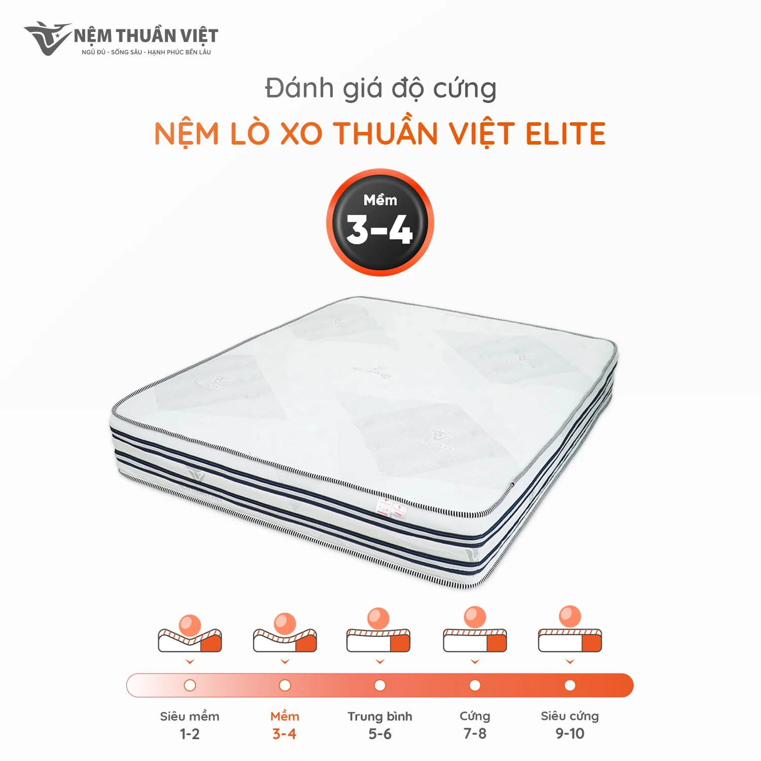 EliteHình 06