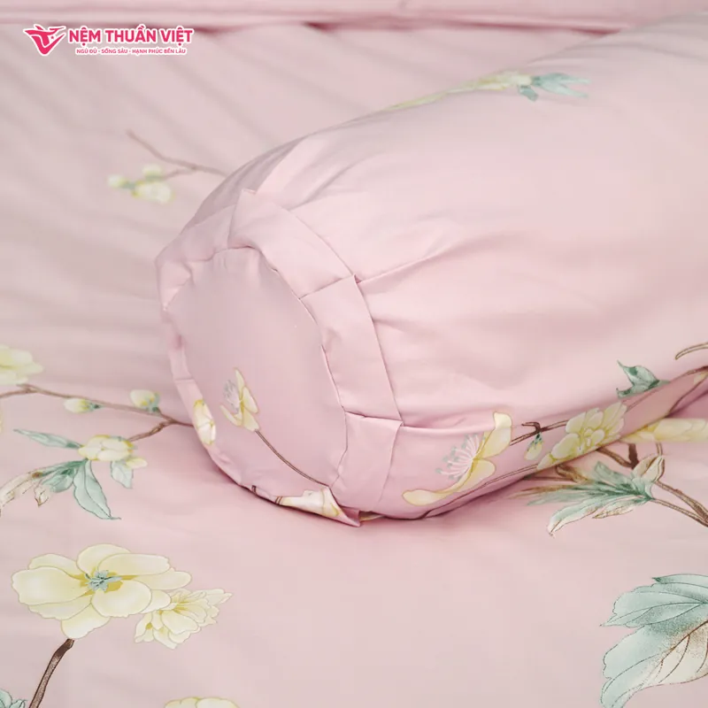 DRAP_ECTC02_5