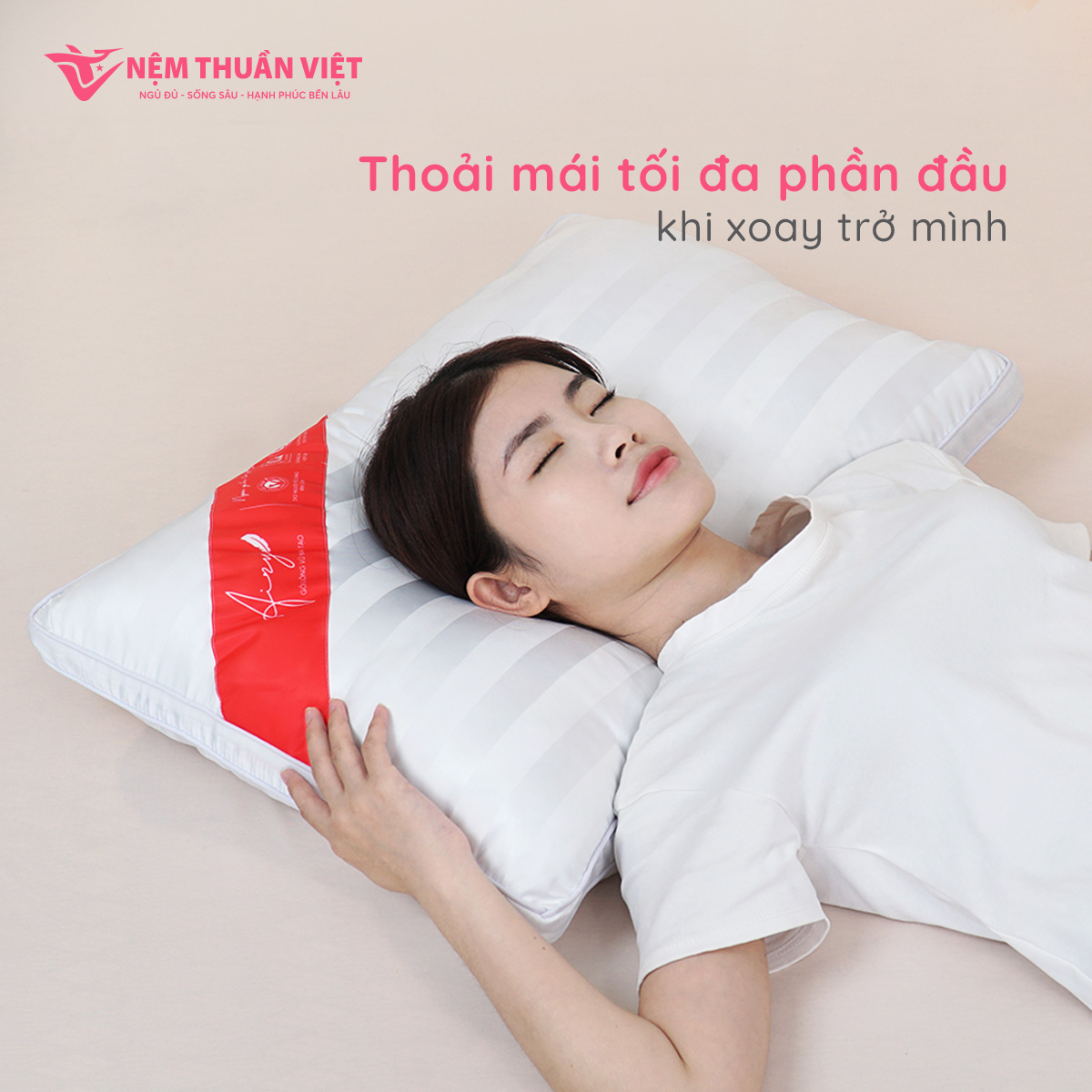 Gối Lông Vũ 02