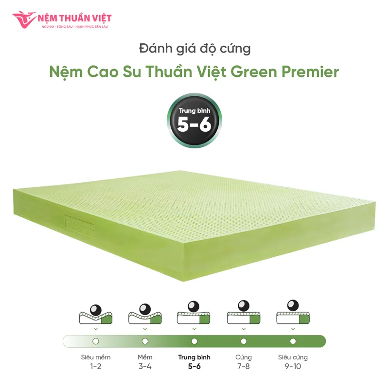 info-green-premier-2