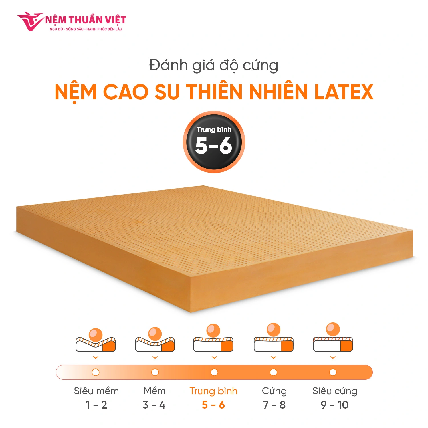 latex-5