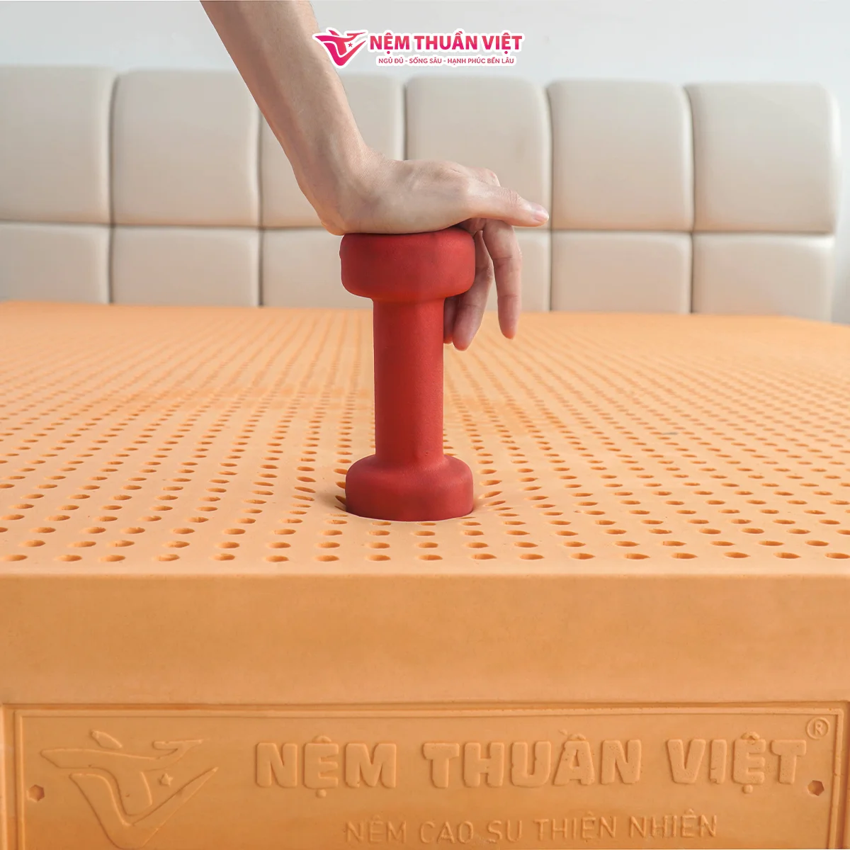 nệm cao su thiên nhiên latex 6