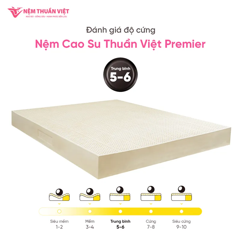 info-premier-5