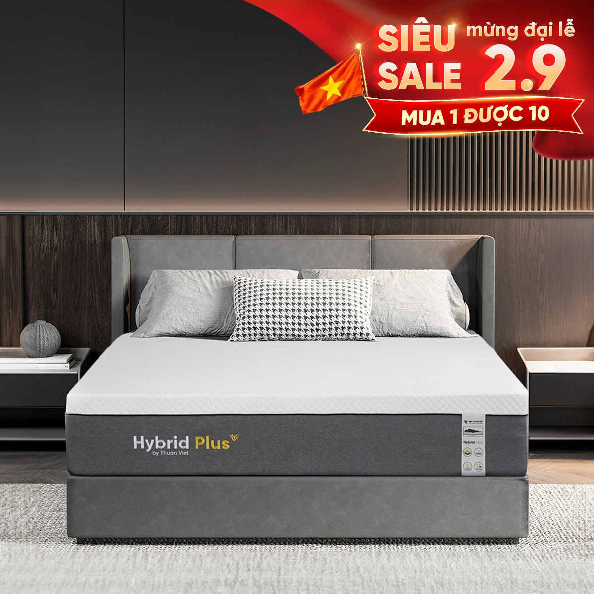 HYBRID PLUS