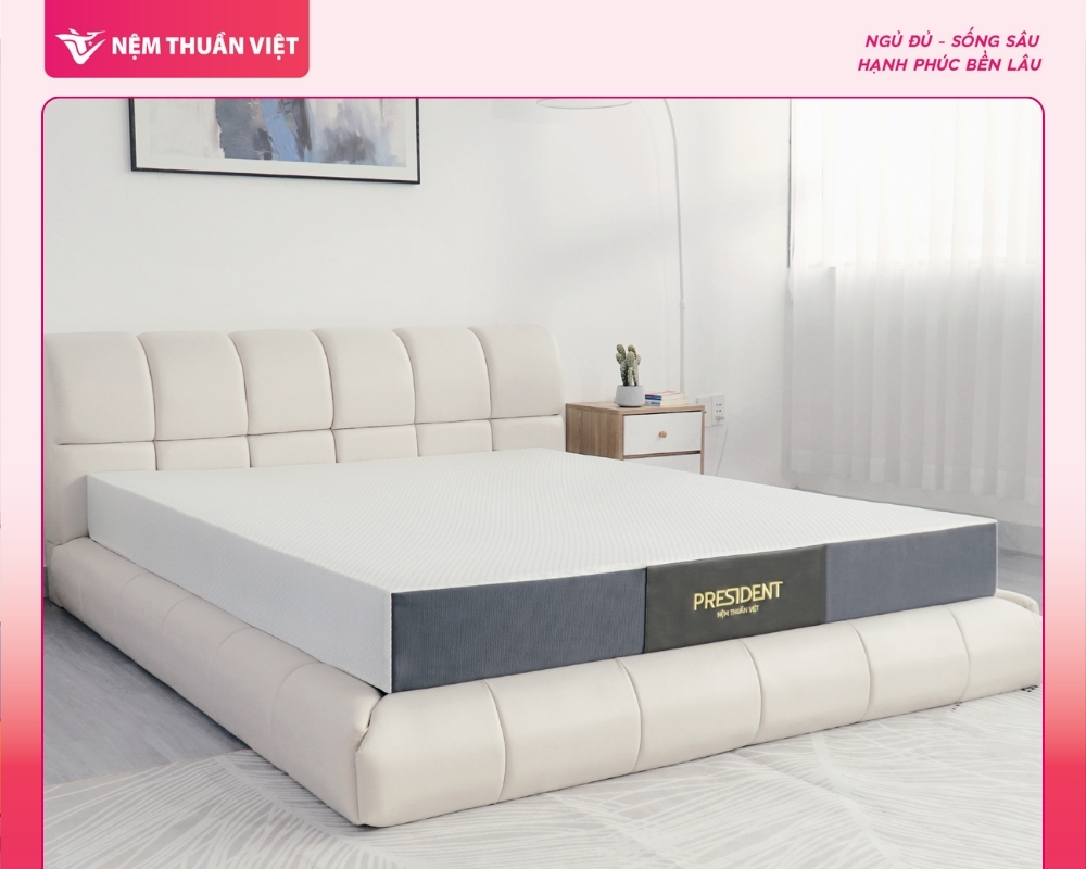 Showroom Gò Vấp