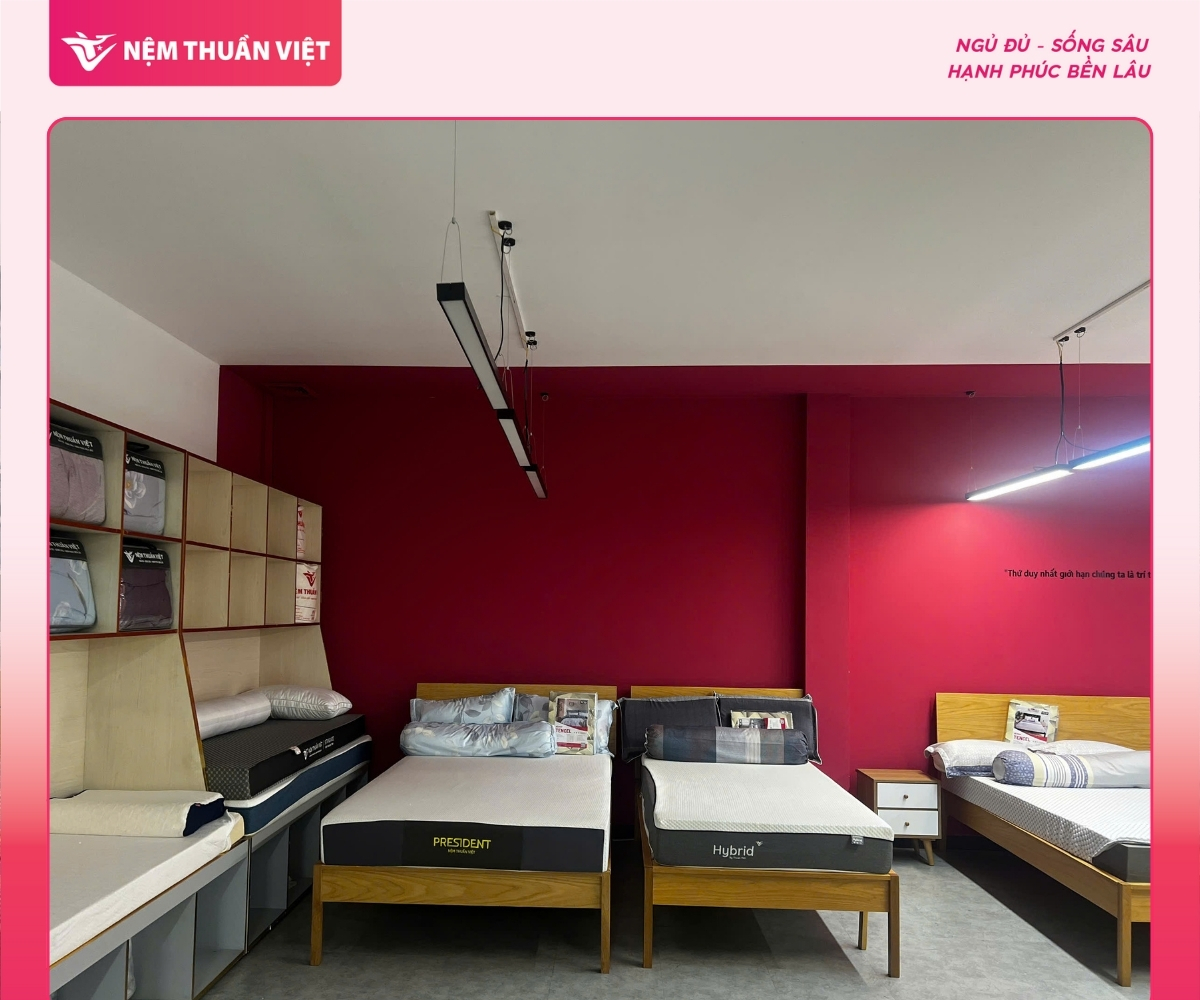 Showroom quận 12 (2)
