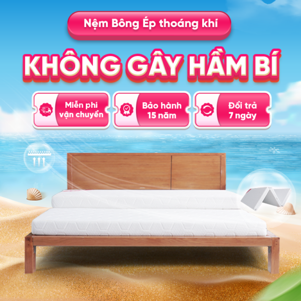Nệm Bông Ép Ultra White Thuần Việt